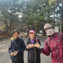 신풍교차로 2 이미지