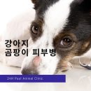 회원종합동물병원 이미지
