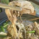 완주 동상 대아수목원 맛집 [ 뜰안에펜션가든 ] 계곡옆에서 녹두백숙 즐기기