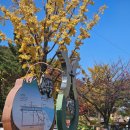 수밭골 웰빙음식거리 이미지