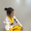 클라쓰영어태권도 이미지