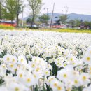 화천초등학교 이미지