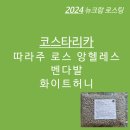 종만농장 | 2024-코스타리카 로스 앙헬레스 벤다발 화이트허니
