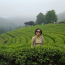 등대펜션 이미지