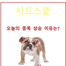 (주)동양이엔씨