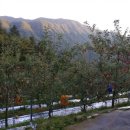 수덕농장 이미지