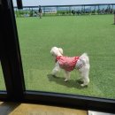 레인바우 이미지