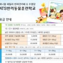 애니멀 패밀리 이미지