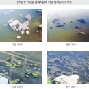 한국환경바이오
