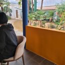 사진작가반 이미지