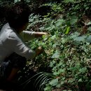 온새미로 펜션 이미지