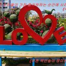 세네카