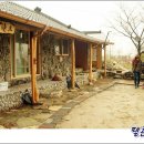 정토농장 Daum카페