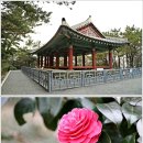 다대초교 입구 이미지