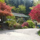 오션파크 민박 이미지