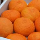 내혜홀농장 이미지