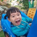 원이네농장 이미지