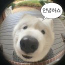 UR(상주시)-[중앙로]-상-2077 | 봄 그리고 여름