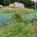 인삼공인중개사사무소 이미지