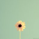 그대의계절 이미지