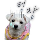 GS25 역삼미소점 이미지