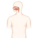 대화이비인후과가정의학과의원 이미지