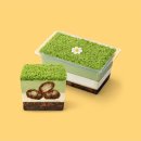 디저트 본 | 말차 덕후가 먹어본 말차 디저트 후기 | 설빙, 투썸, 스타벅스, 오설록