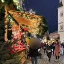 로젠하임 | 독일 로젠하임 크리스마스 마켓 운영 시간&amp;상점(카드 가능), WC