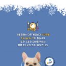 보성동물병원 이미지