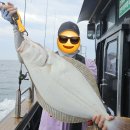 총각수산송탄2호점 | 민어 외수질 낚시 조행기 &amp; 도요 코바 라이트 리뷰