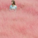 서광리-28 이미지