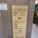 신신세탁 | 제주여행 중 🧺 빨래 걱정 끝 세탁 건조 가능하고 편의점에 🎁 기념품까지 있는 신신호텔 제주시티 🛏