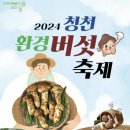 청천 이미지