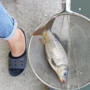 양석낚시터 이미지