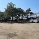 무안막갈비 이미지