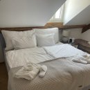 베른 | 스위스 베른 숙소 후기 | Moderne Altbauwohnung im Zentrum von Bern mit Wellness