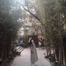 카페키츠네 서울 이미지