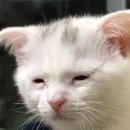 [강남 방탈출] #23 토끼와 거북이 테마 후기 가격 정보 / 마스터키 강남점