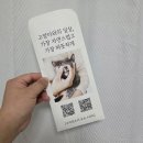 pet19라5699 | 『 고마워, 우리 』 포토그라피_고양이 홈스냅