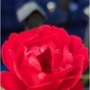 팀매드청주 이미지