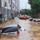 자연의 기억 이미지