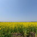 대저생태공원 이미지