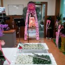 푸른약품 이미지