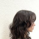 헤어자름 이미지