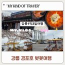 GS25강릉용강점 | 강릉 벚꽃 여행 1박2일 경포 벚꽃 자전거 맛집 바이크스토리 최일순 짬뽕 순두부 후기