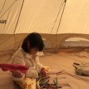 임재농장 | 울산 양떼목장 캠핑 해너울터 캠크닉 당일캠핑 북구 캠핑장 추천