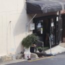 선태권도 | 부산 다대포 마카롱 [워미단거] 마카롱장인이 만든 막갈옹 드셔보세요 강추강추