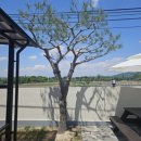 경주엘림하우스 이미지