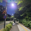 219 잡포스트