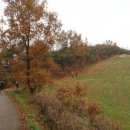 갈산리목장 이미지